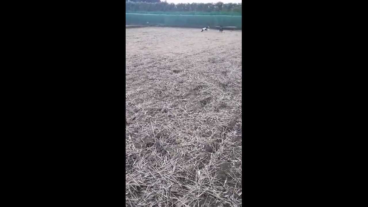 町田(成瀬・すずかけ台・南町田等)のしょぼい争い