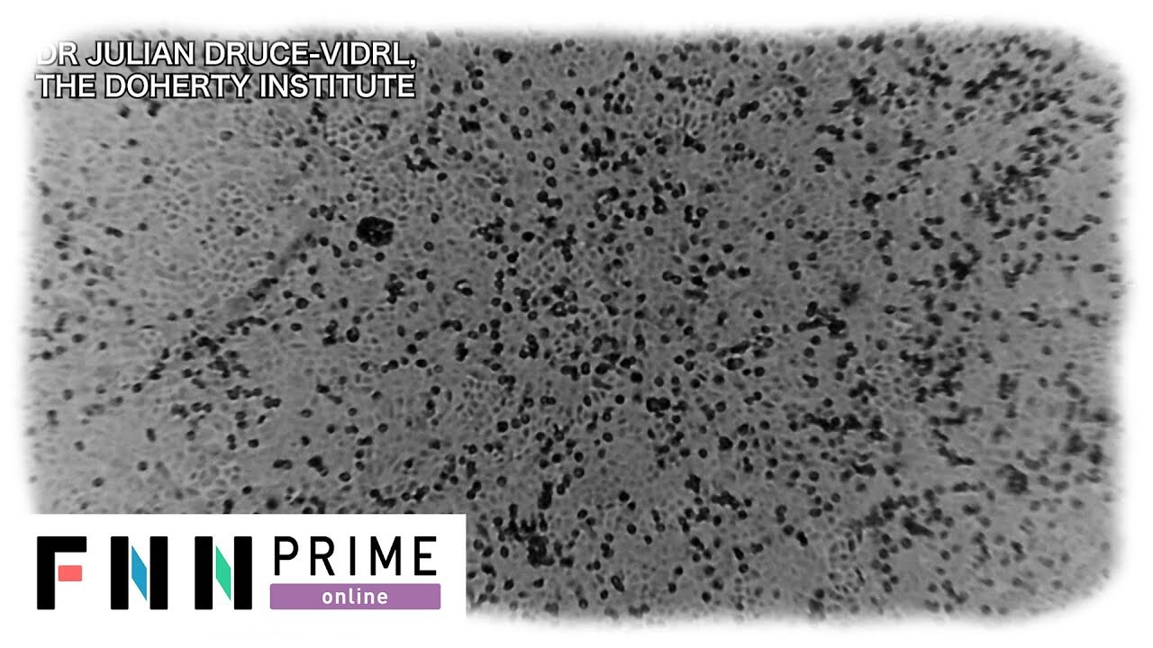 店員のコロナ感染、続々判明！