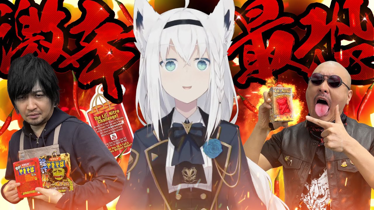 Pフィーバー機動戦士ガンダムSEED PHASE-08【SANKYO】